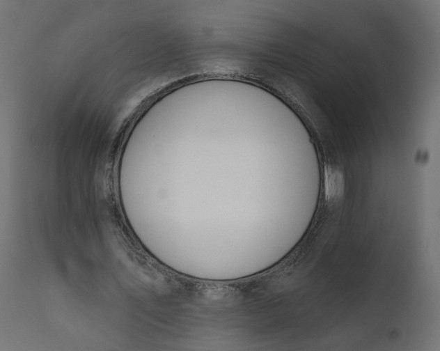 X0000110700579200906261410