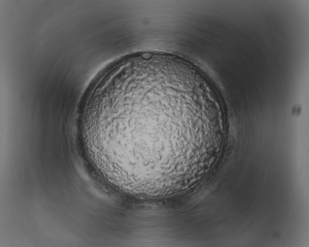 X0000110700580200906261410