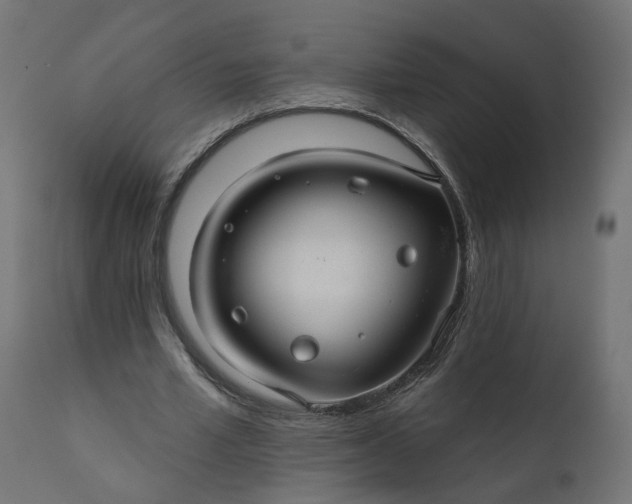 X0000110700581200906261410