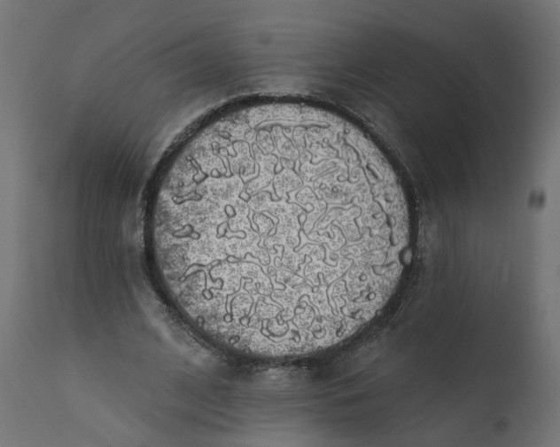 X0000110700584200906261410