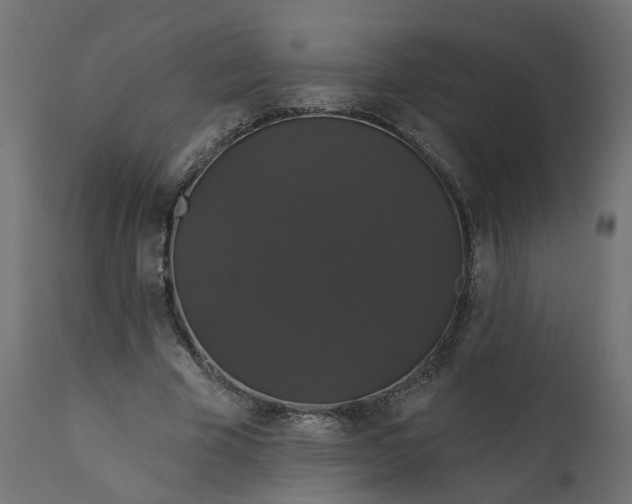 X0000110700585200906261410