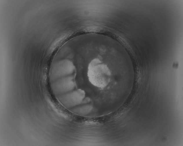 X0000110700586200906261410