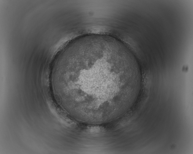 X0000110700587200906261410