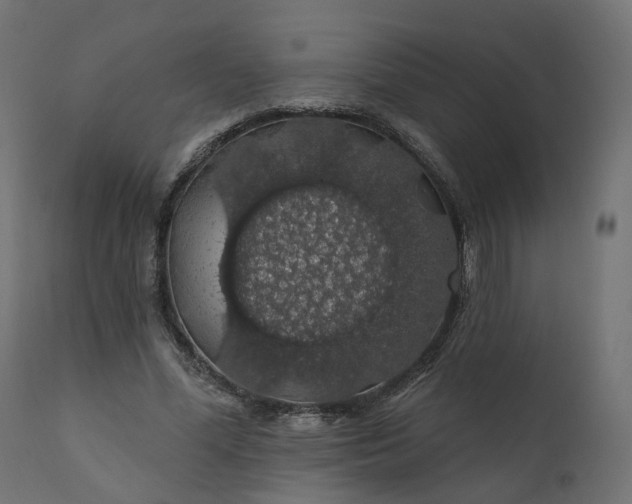 X0000110700588200906261410