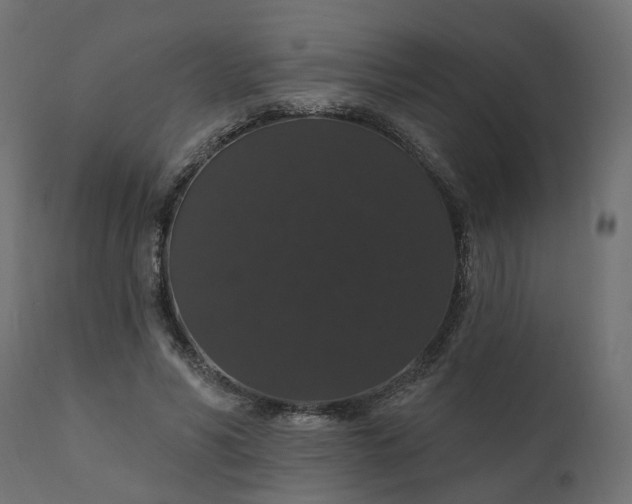 X0000110700590200906261410