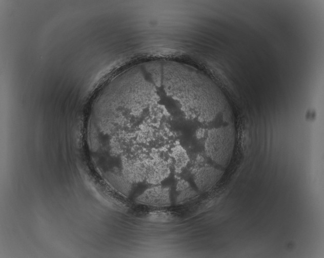 X0000110700591200906261410