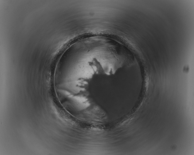 X0000110700592200906261410