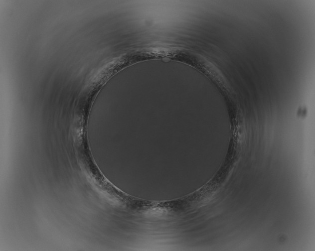 X0000110700593200906261410