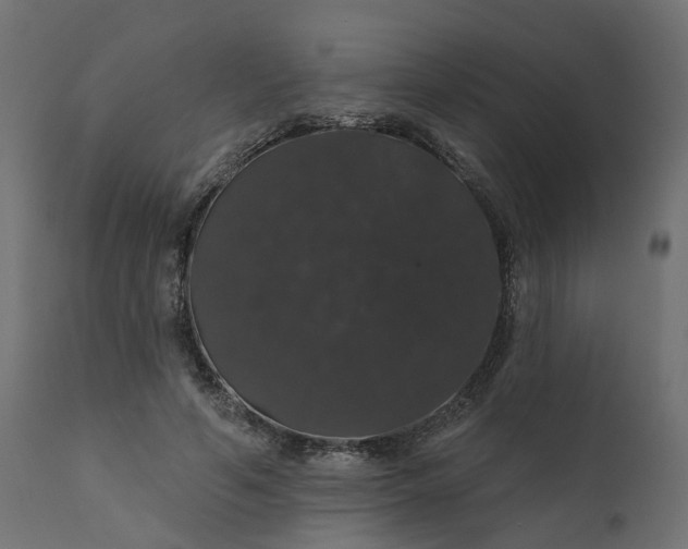 X0000110700594200906261410