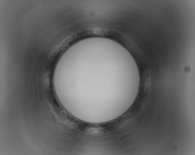 X0000110700595200906261410