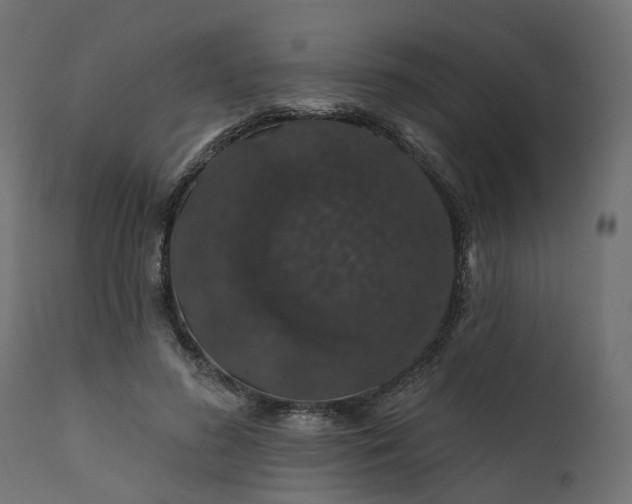 X0000110700596200906261410