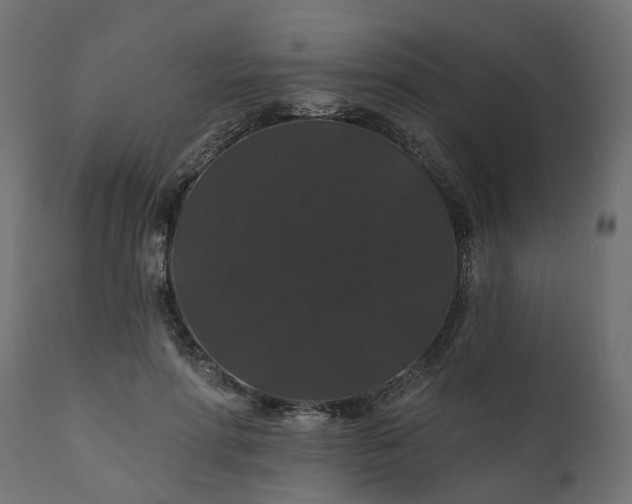 X0000110700598200906261410