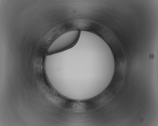 X0000110700599200906261410