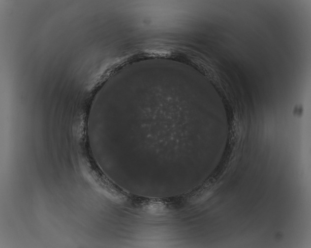 X0000110700600200906261410