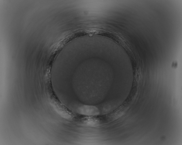 X0000110700601200906261410