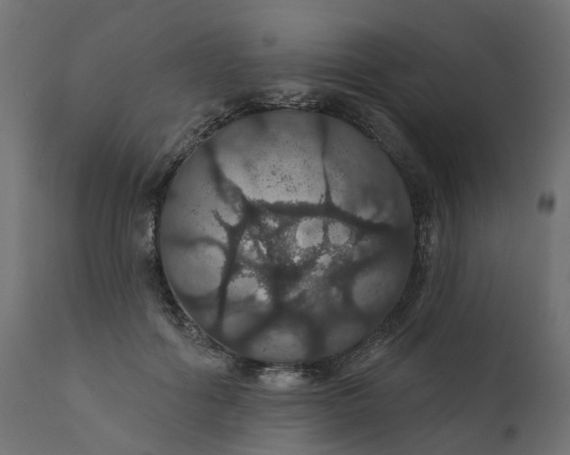 X0000110700602200906261410