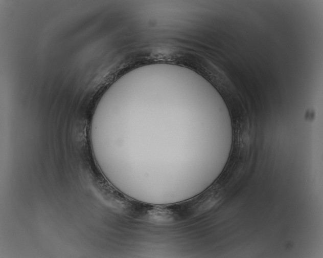 X0000110700603200906261410