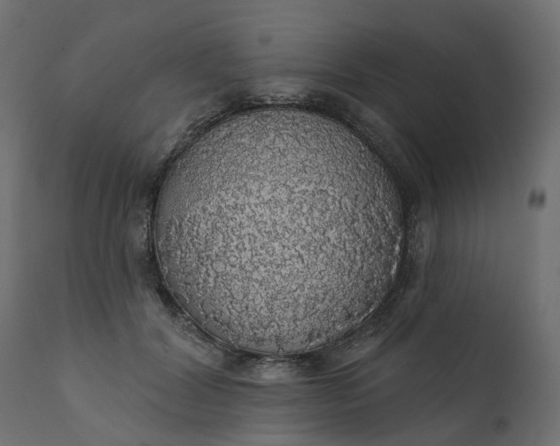 X0000110700604200906261410