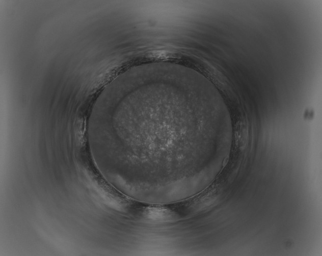 X0000110700605200906261410