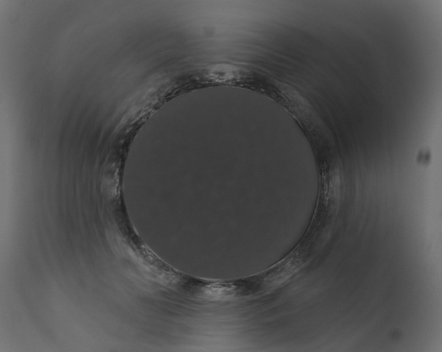 X0000110700606200906261409