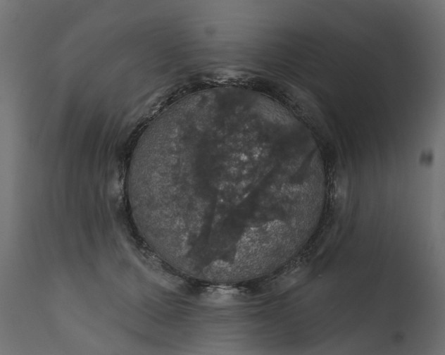 X0000110700607200906261409