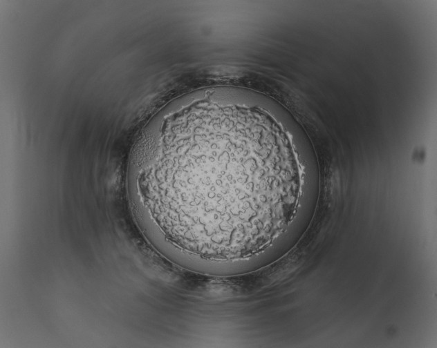 X0000110700608200906261409