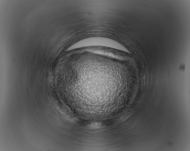 X0000110700609200906261409