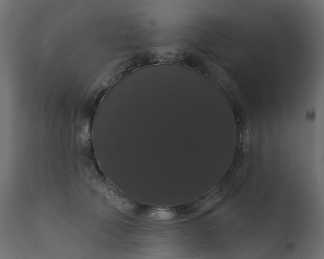 X0000110700610200906261409