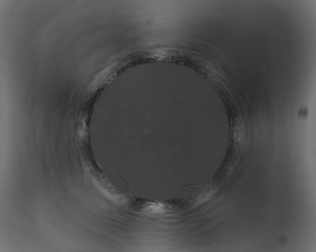 X0000110700611200906261409