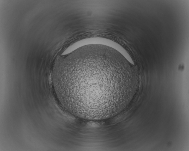 X0000110700613200906261409