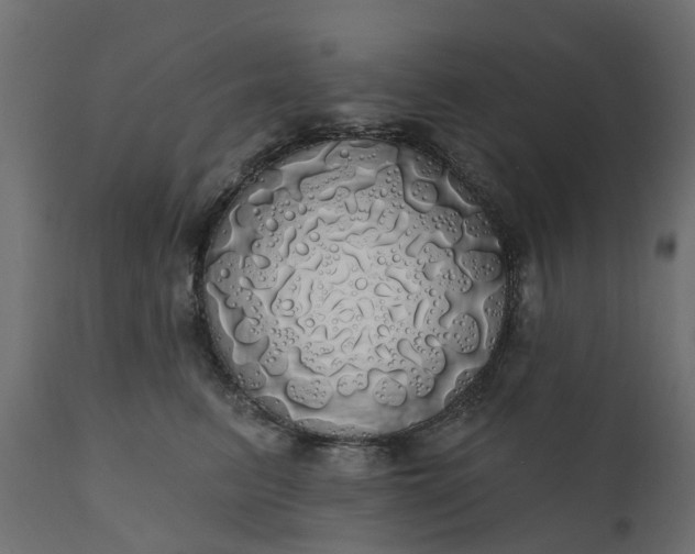 X0000110700615200906261409