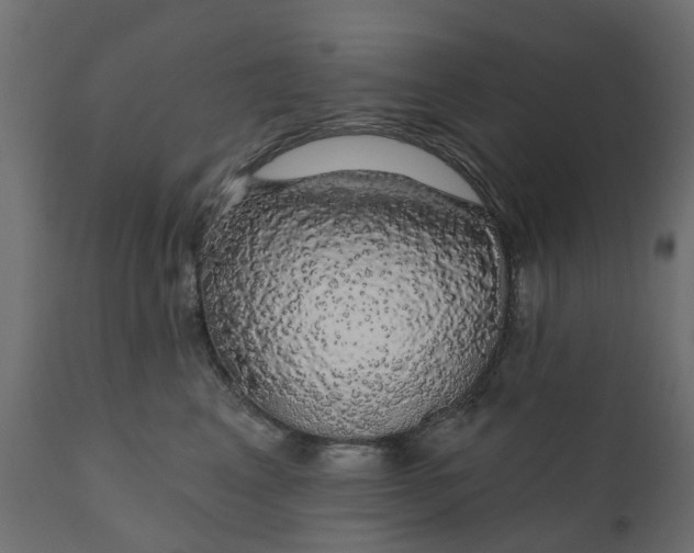 X0000110700617200906261409