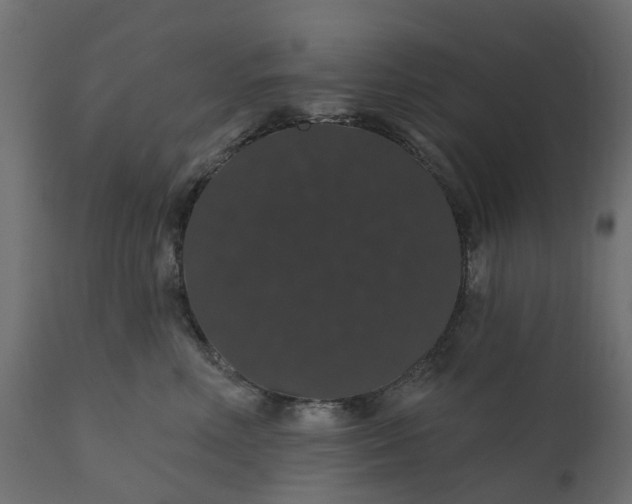 X0000110700618200906261409