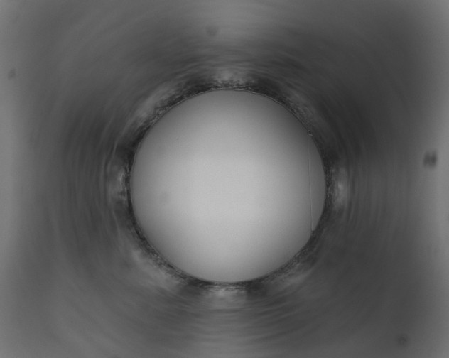 X0000110700619200906261409