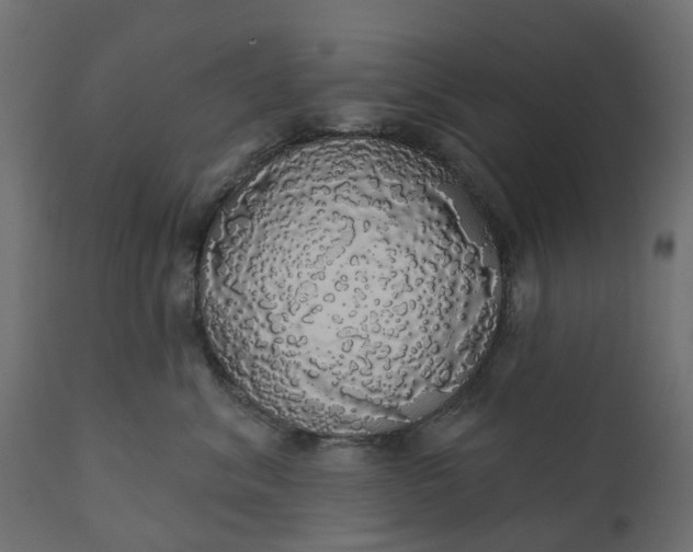 X0000110700620200906261409