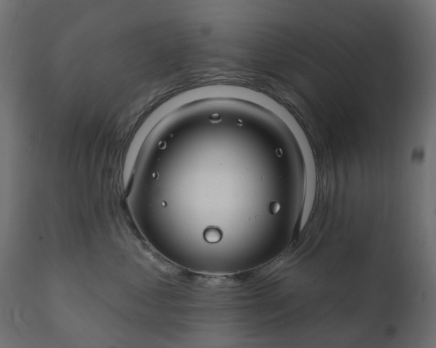 X0000110700621200906261409