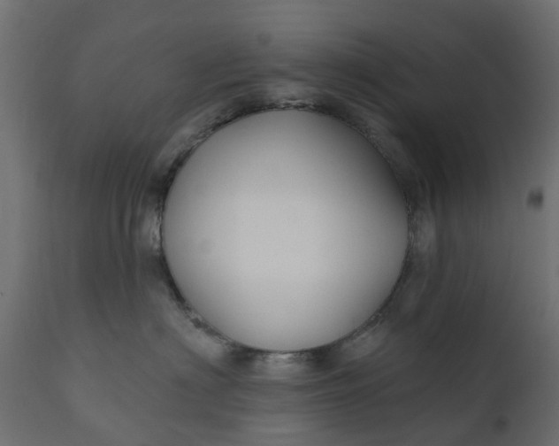 X0000110700622200906261409