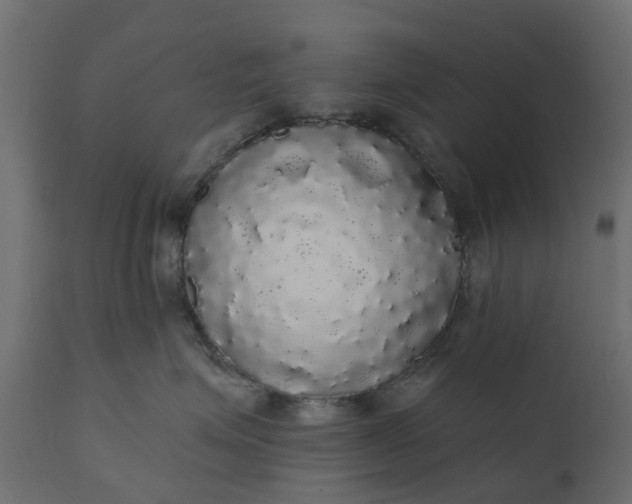 X0000110700623200906261409