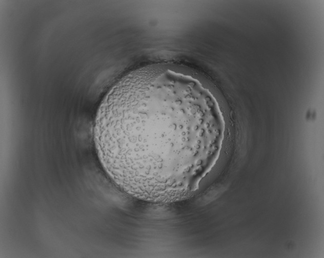 X0000110700624200906261409