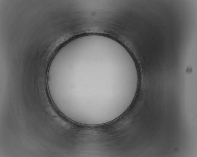 X0000110700625200906261408