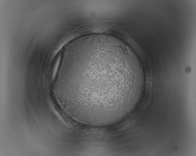 X0000110700626200906261408