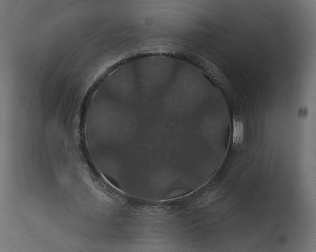 X0000110700627200906261408