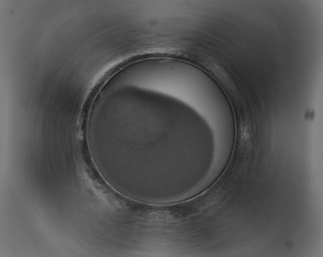 X0000110700628200906261408