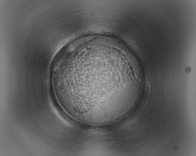 X0000110700630200906261408