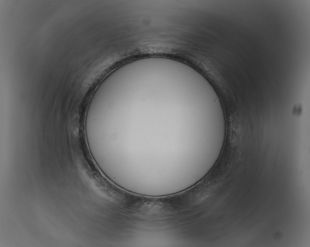 X0000110700631200906261408