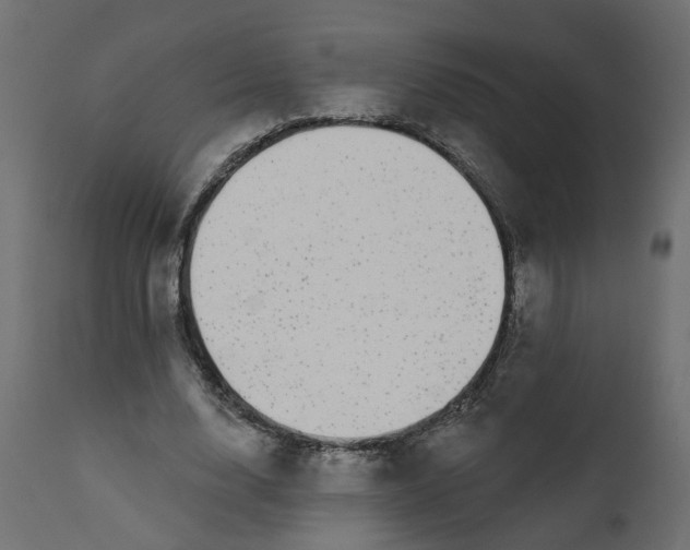 X0000110700632200906261408