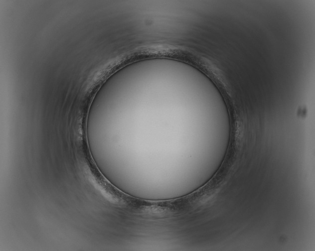 X0000110700633200906261408