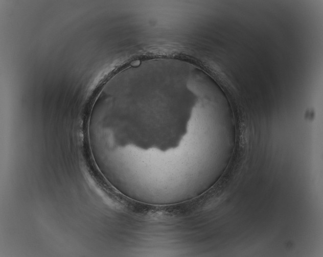 X0000110700634200906261408