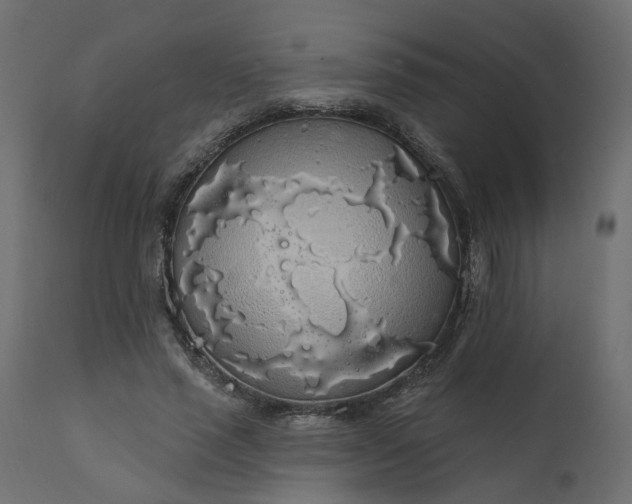 X0000110700637200906261408