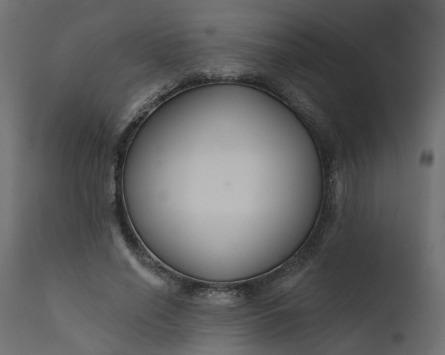 X0000110700638200906261409